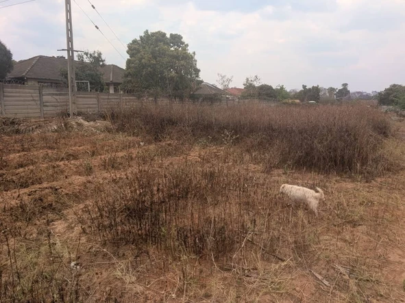 Stands & Residential Land