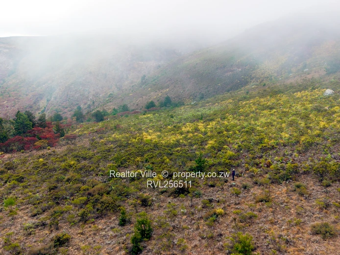 124ha Nyanga Hilltop — Subdivision Potential & Tarred Road