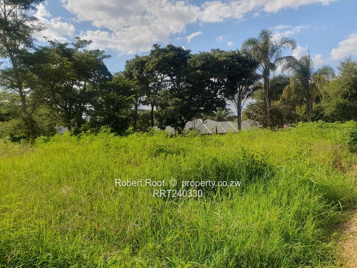 Ready to Build Stand