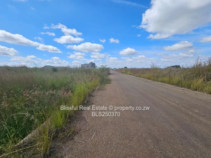 Nyeredzi Ridge Stand for sale