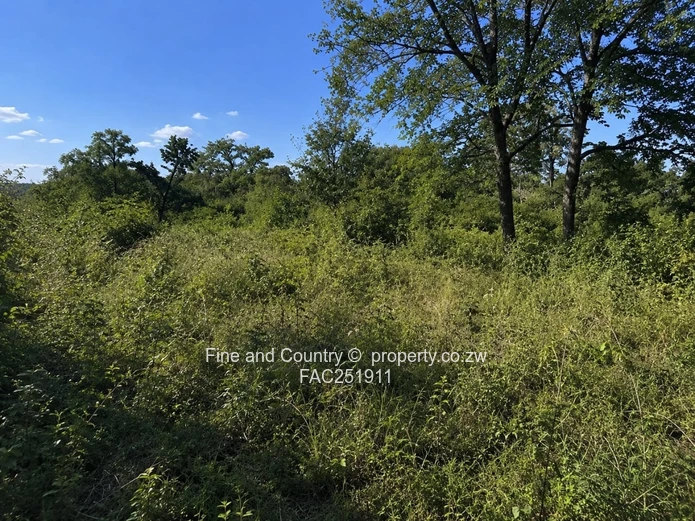 3 Acre Development Site in Burnside - Rare Opportunity (Sole Mandate)
