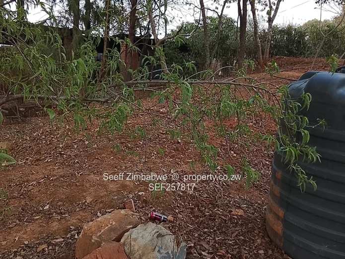 2000m² Carrick Creagh — Stand For Sale I $180,000