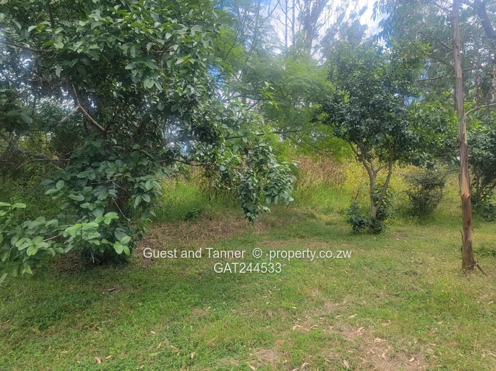 A Choice Of Two Properties For Sale In Colne Valley 