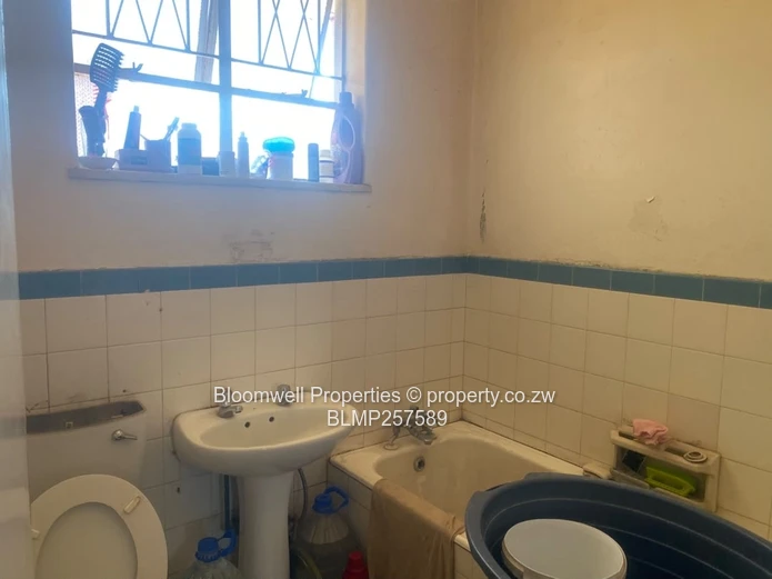 1 bed flat to rent (Sole Mandate)