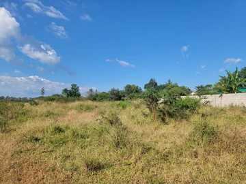Stands & Residential Land