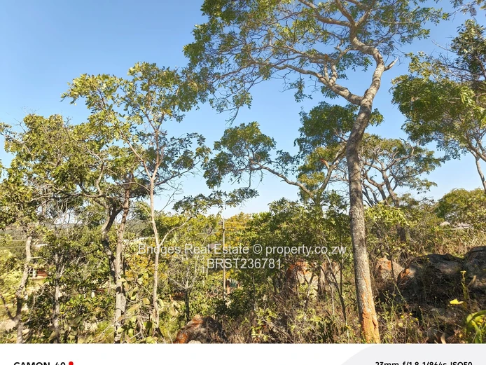 Awesoment investment