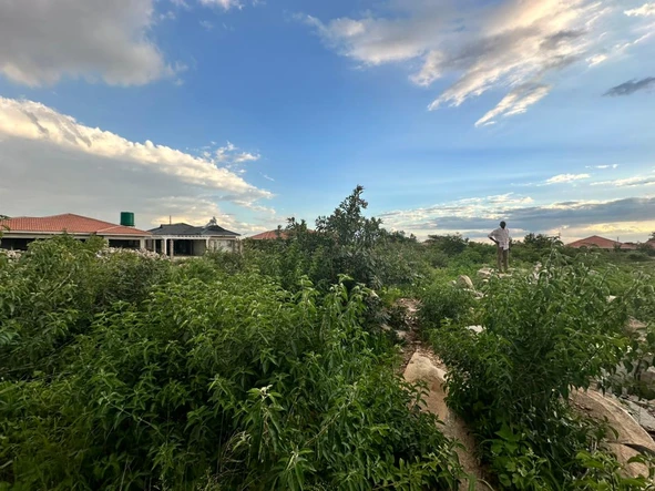 Stands & Residential Land