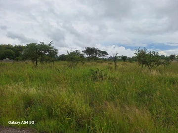 Stands & Residential Land