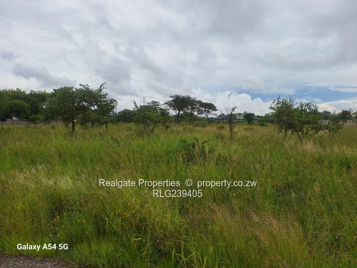 Sunninghill Corner Stand