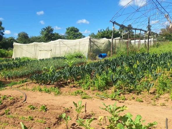 Farm & Agricultural Land