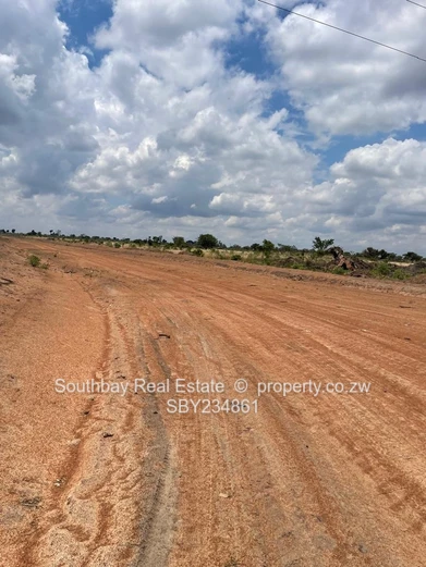 Investment Opportunity