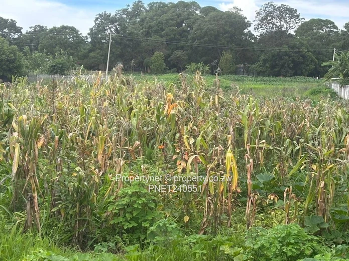 Prime residential stand 