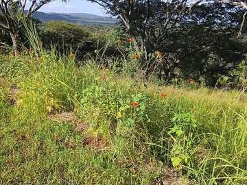 Farm & Agricultural Land