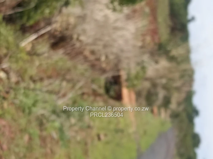 Pomona Serviced Residential & Commercial Stands in Wild Geese, Buckland Gated Community