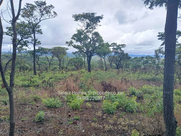 Shawasha Hills Land For Sale