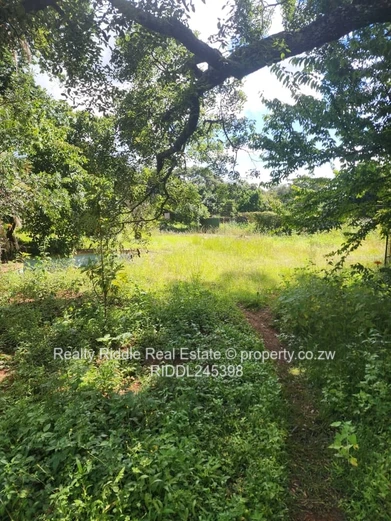 Greystone Park: 4-Bed Home on 9,185 m² with Pool & Borehole