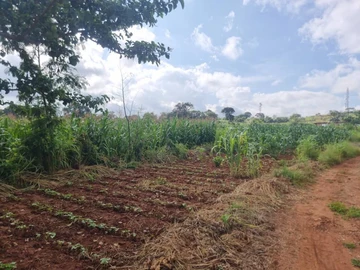 Commercial & Industrial Land