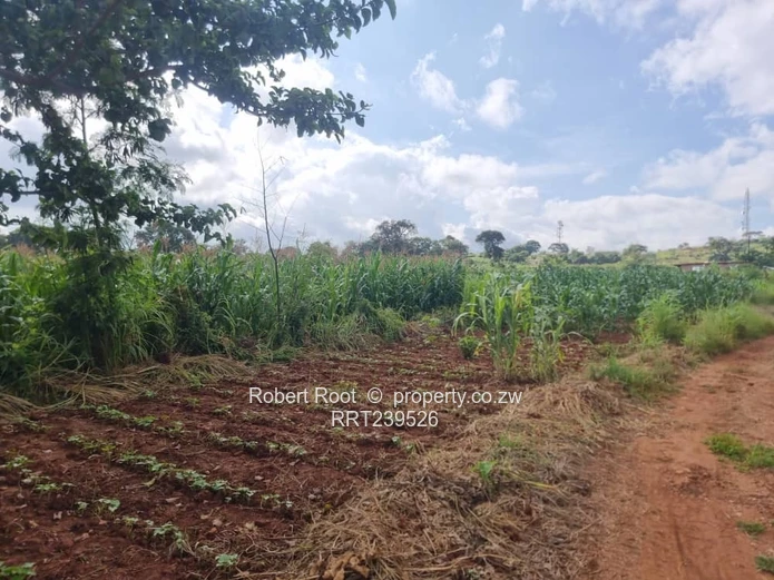 Prime Land on Chegutu Highway! 