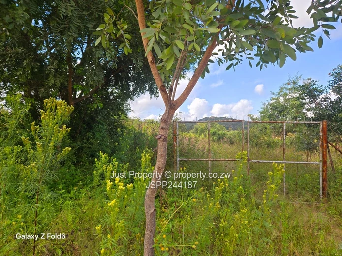 Fenced 2300 m² Stand in Marondera — Gravel Road Access (Sole Mandate)