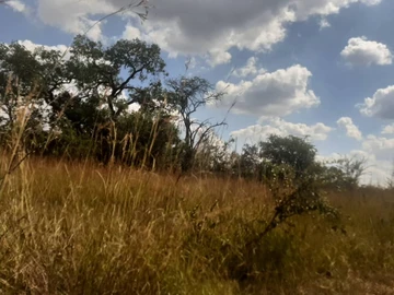15ha for sale in beatrice, 85k , atleast50k deposit and terms