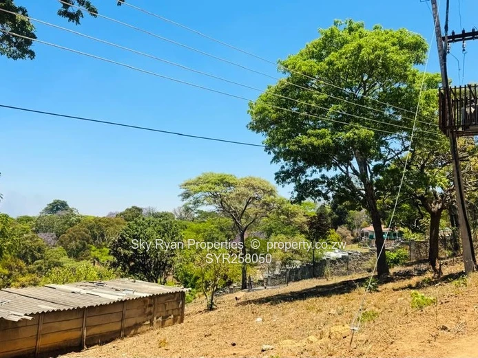 Helensvale Stand For Sale 