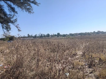 Commercial & Industrial Land