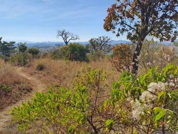 Nyanga Juliasdale 1ha plots for holiday homes. 20k , balance 8months