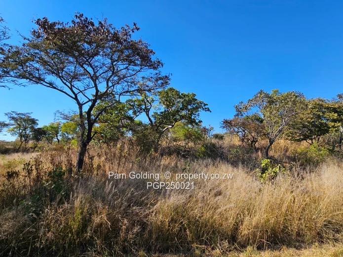 Stunning Prime Residential Land