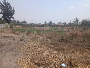 Stands & Residential Land