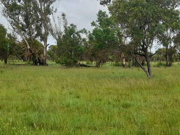 Farm & Agricultural Land