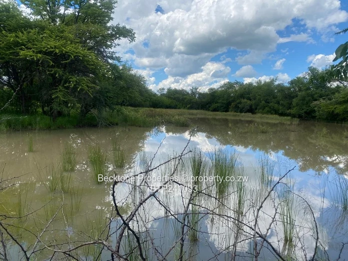Prime Cattle Ranch: 809ha, 46km Bulawayo