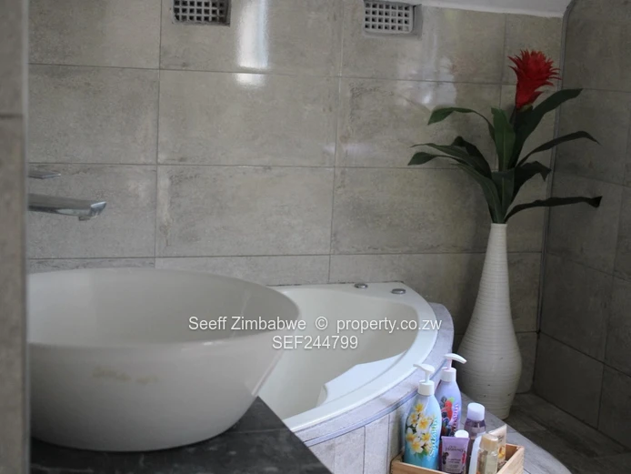 Secure And Beautiful Family Home