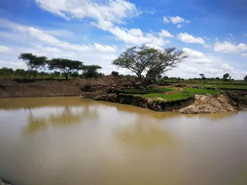 Farm & Agricultural Land