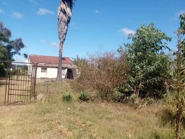 Farm & Agricultural Land