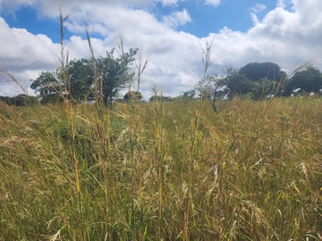 Farm & Agricultural Land