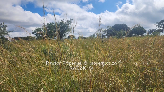 Subdivision  4.2 hectares pegged , road done  fully serviced  ideal for.all.farming activities 