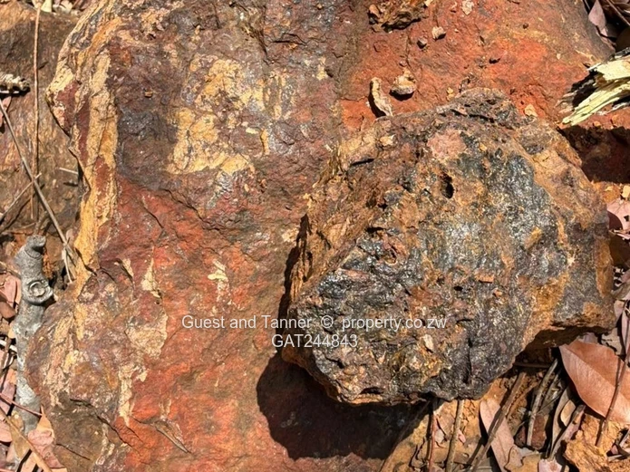 Makaha Gold Mine Opportunity