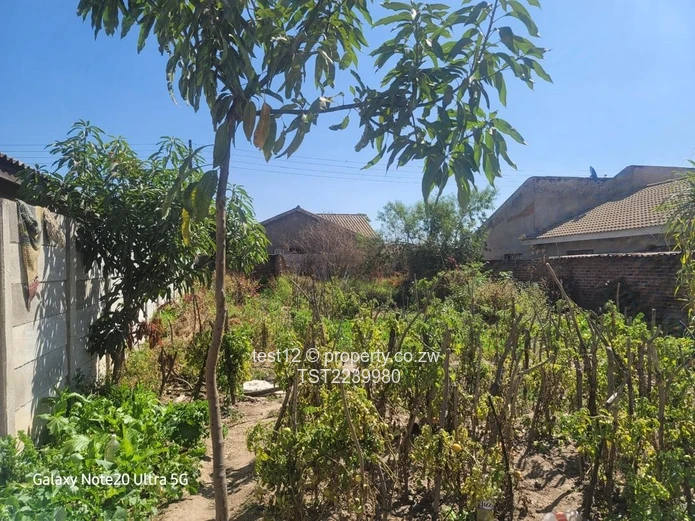 Granary Stand For Sale  (Sole Mandate)