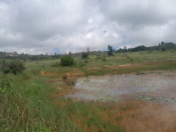 Farm & Agricultural Land