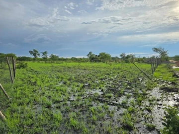Farm & Agricultural Land