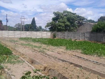 Commercial Property