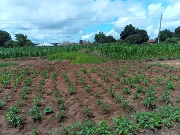 Commercial & Industrial Land