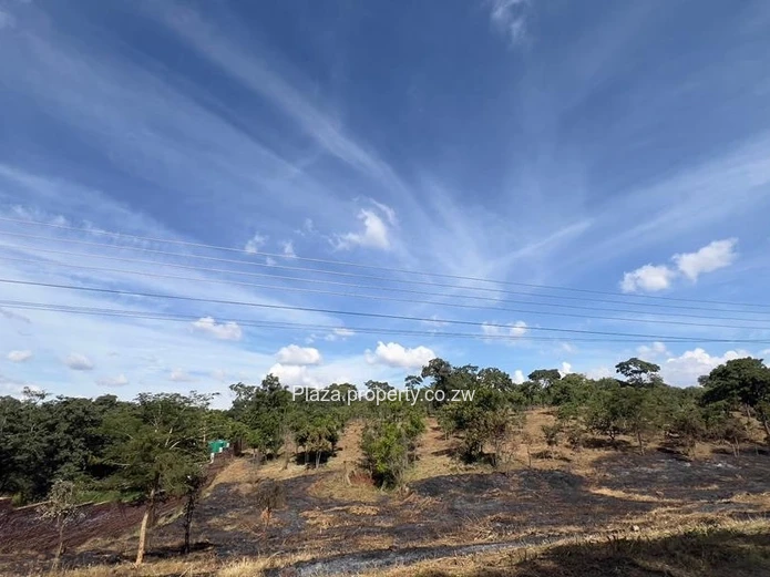 Where Vision Meets Land