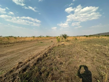 Farm & Agricultural Land