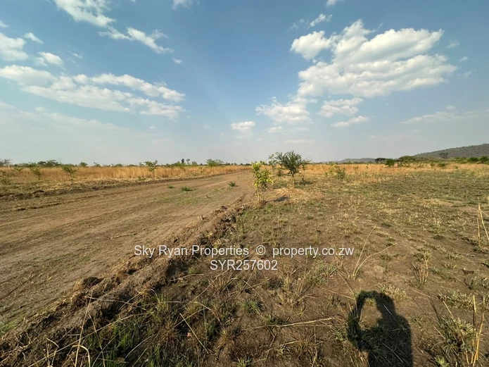 Knockmallock Estate, Norton – Agro-Residential Plots For Sale 