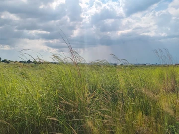 Commercial & Industrial Land