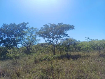 Farm & Agricultural Land