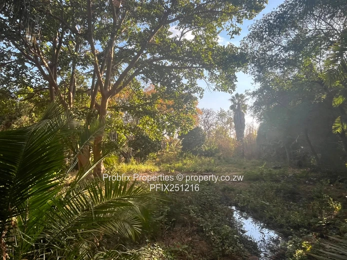 Prime Commercial Land For Sale In Avondale