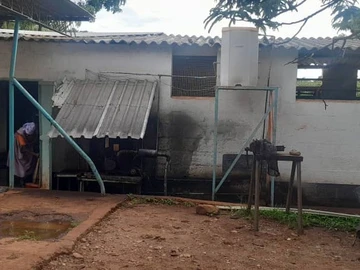 Farm & Agricultural Land