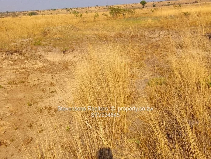 Immense Industrial Stand For Sale In Gweru